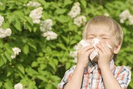 boy with allergy